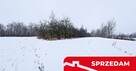 Drewniany dom z dużą działką - pole + sad + las - 7