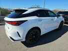 RX500h F Sport - 6