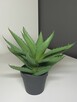 Jysk Ozdobna roślina sztuczna Aloes - 2