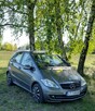 Mercedes-Benz Klasa A160 BlueEfficiency 2010 - 1