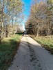 Sprzedam Ziemię - 3