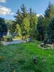 dom 120 m, duża działka z lasem - 8