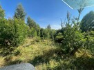 Mulczowanie Wadowice. Karczowanie działek tel. 575-747-470 - 2