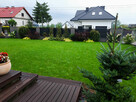 Zakładanie ogrodów Wielka Wieś, Skała, Zabierzów - 3