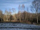 Działka budowlana Żywiec Moszczanica, Władysława Warneńczyka - 5