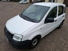 Fiat Panda - 2