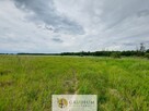 Działki letniskowe nad kanałem Obry | Karszyn - 11