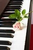 PROFESJONALNE LEKCJE GRY NA PIANINIE/KEYBOARDZIE - 2