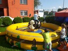 Byk rodeo na wynajem - 2
