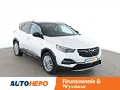 Opel Grandland X 1.2T Innovation Tempomat Navi Grzane Fotele ParkAssist Kamera360 BiLED - 9