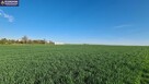 Działka budowlana Sitaniec gm. Zamość - 6