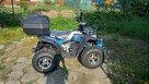 Quad ASIX Magnum 250CC homologacja - 5
