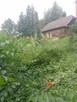 Działka z domem - 9