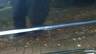 Saab 900 2.0 Turbo Talladega 3 drzwi 185 KM Klasyk Zamiana . - 14