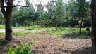 Działka budowlana Stare Budy gm. Jaktorów, Piękna - 6