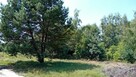 Działka budowlana Stare Budy gm. Jaktorów, Piękna - 14