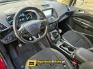 Ford Kuga TELEFON: 694 225 471 | LOKALIZACJA: Nasiegniewo - 14