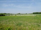 Działka Jastrzębnik gm. Żabia Wola - 1