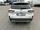 Ford Escape - 6