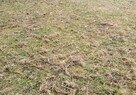 aerator do kosiarki traktorka quada brona areator grabie PL - 8