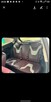 Ford Fiesta MK7 Titanium Individual - 13