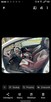 Ford Fiesta MK7 Titanium Individual - 4