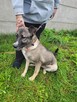 Młodziutka IGA wpatrzona w człowieka bez reszty - 5