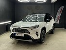 Toyota RAV4 Toyota RAV4 2019 Model Selection Plus-Gwarancja, - 1