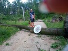 Marek - 2