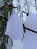 Tarp Ripstop Nylon Snow - 6