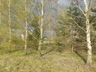 Działka budowlana Kuby-Młyny gm. Morawica - 5