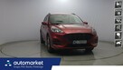 Ford Kuga 2.5 FHEV FWD ST-Line!  z polsiego salonu! FV 23% - 1