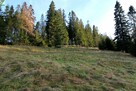 Działka o powierzchni 4290 m2 - 3
