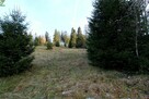 Działka o powierzchni 4290 m2 - 4