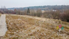 Wójtowo - Krokusowa/Sasanki - 3 działki - 8