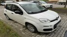 Fiat Panda - 1