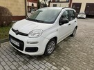 Fiat Panda - 2