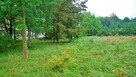 Działka budowlana Środa Śląska - 11