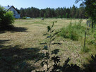 Działka budowlana Tereszpol-Zaorenda 12a - 2