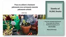Praca w Holandii – Szklarnie, Sortownie i Chłodnie! - 4