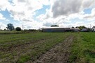 Działka budowlana Radonia gm. Wielowieś, - 12