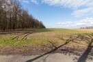 Działka rekreacyjna Woźniki Czarny Las, Czarny Las - 7