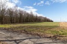 Działka rekreacyjna Woźniki Czarny Las, Czarny Las - 8