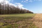 Działka rekreacyjna Woźniki Czarny Las, Czarny Las - 9