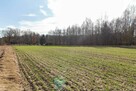 Działka rekreacyjna Woźniki Czarny Las, Czarny Las - 10