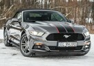 Ford Mustang Lift ! Cabrio 2.3i 317KM Super Stan ! Zarejestrowany ! - 4