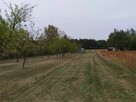 Działka budowlana blisko Lubartowa tylko 4 km - 16