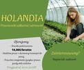 Praca w Holandii – Szklarnie, Sortownie i Chłodnie! - 1