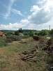 Ogrodnictwo, wertykulacja, wycinka drzew - 8
