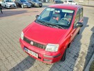 Fiat Panda II 1.2 MPI 69KM mały przebieg - 9